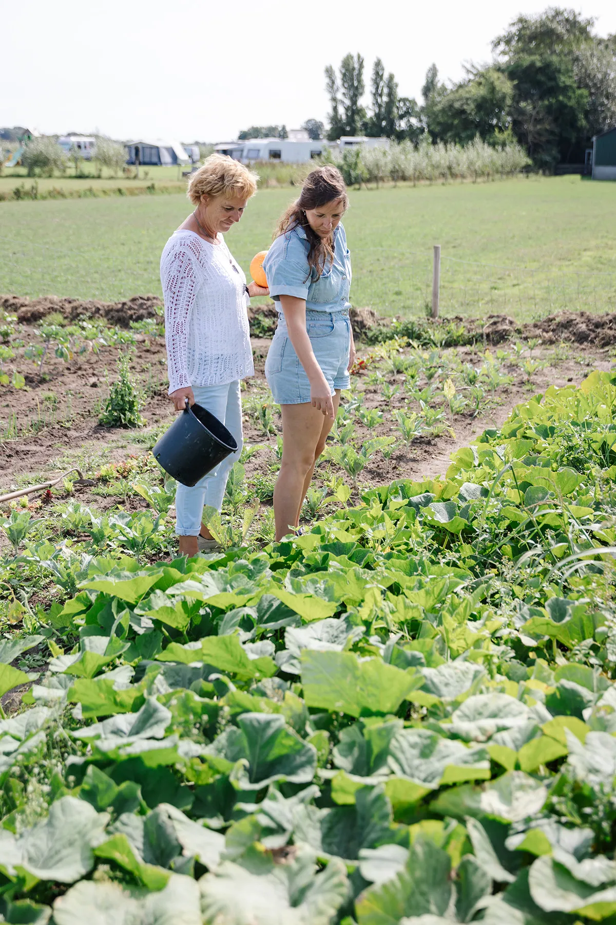 Twee vrouwen in de moestuin van Camping de Texelaar, met de camping op de achtergrond