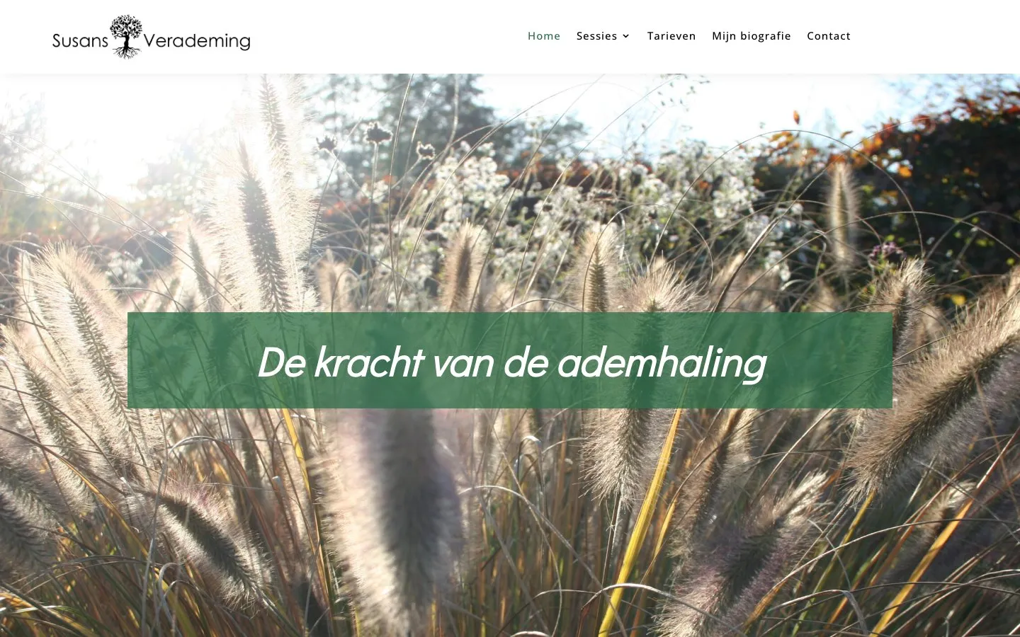 De homepage van Susans Verademing op desktop, met siergras en de kop 'De kracht van de ademhaling'